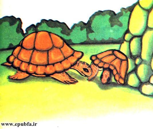 سنگی جلو آمد. او که لاکش کج بود بهآسانی میتوانست با آن، جلو سوراخ را بگیرد